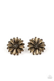 Daisy Dilemma - Brass Earrings